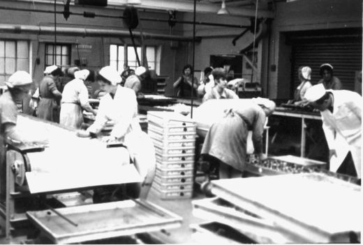 Production line at W. R. Wilkinson & Co Ltd, Pontefract. [Click here to open image in popup]